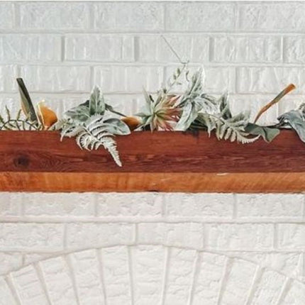 Collection image for: Racks & Brackets