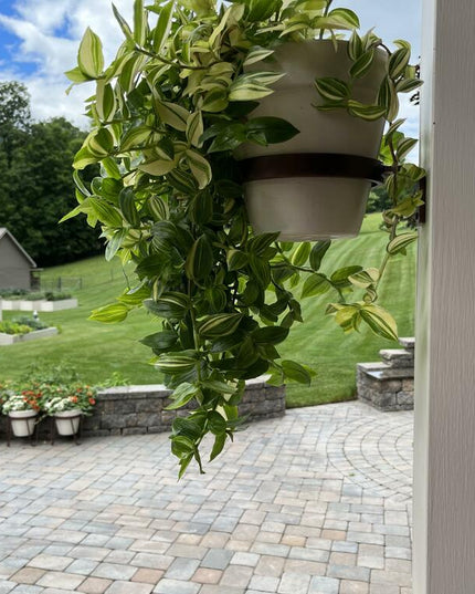 The Hudson Wall Mounted Potholder