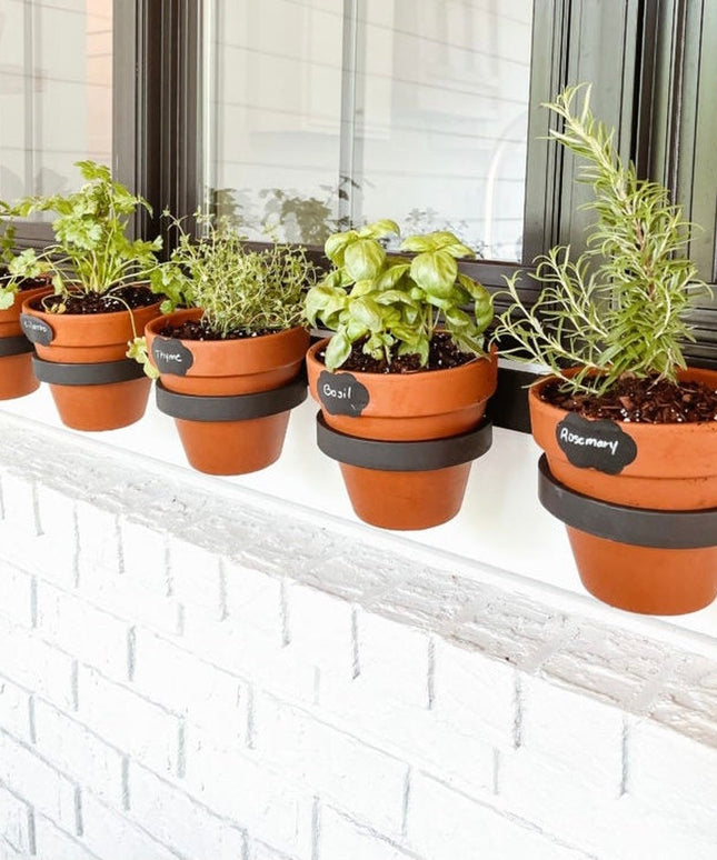 Terra cotta herb pots with black chalkboard labels displaying thyme, basil, and rosemary lined on white brick windowsill