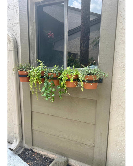 Industrial Farm Co Yonkers horizontal black steel window planter box mounted on beige door with terracotta pots and traili...