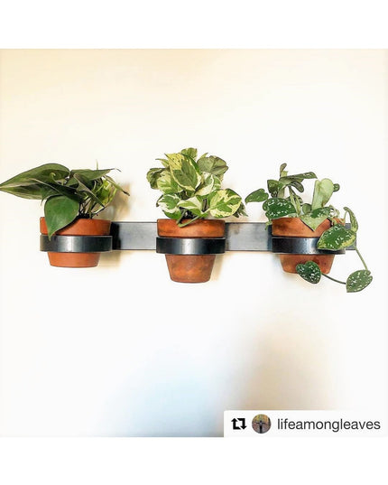 Industrial Farm Co Yonkers Horizontal Steel Planter holding three terracotta pots with green houseplants on white wall
