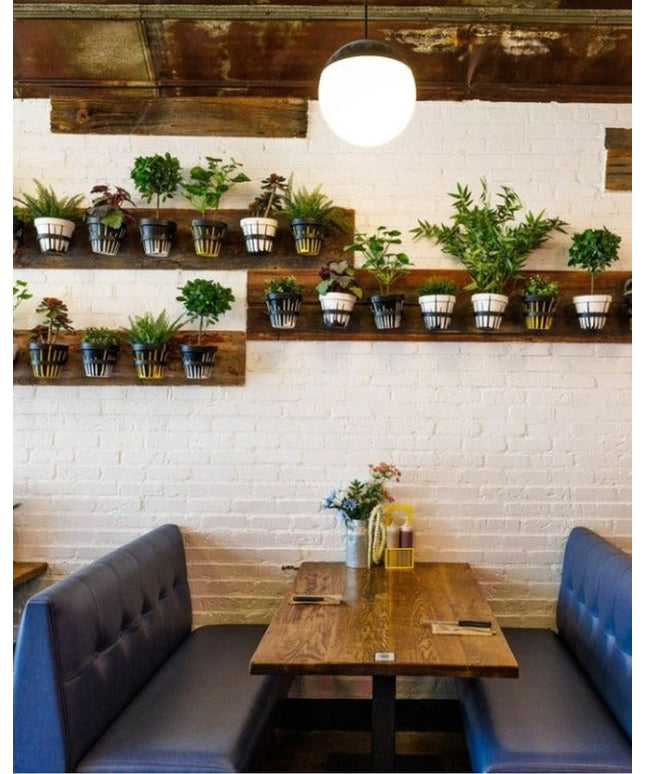 The Hudson Wall Planter Ring by Industrial Farm Co displaying potted plants on wooden floating shelves in modern restauran...