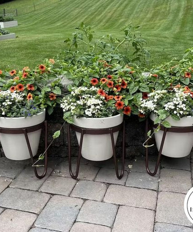 Three white Dorio Raised Planters by Industrial Farm Co with dark metal stands on brick patio, filled with colorful flower...