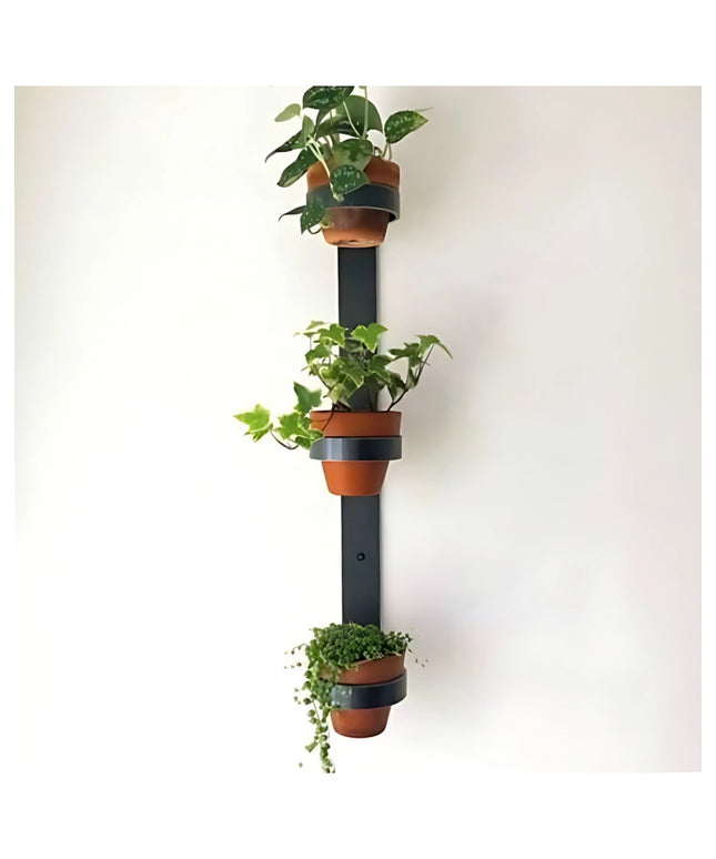 Watertown black metal wall mount vertical planter with three terracotta pots holding green plants against white wall by In...