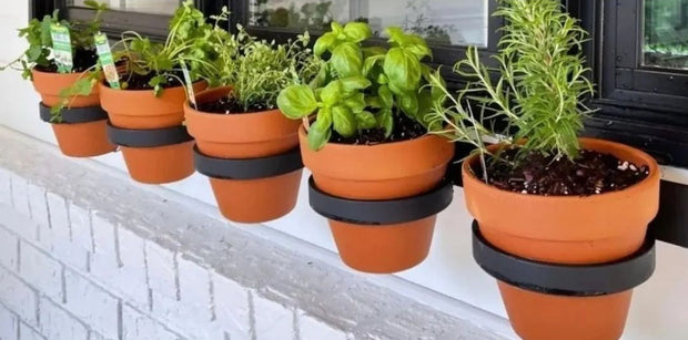 <p>Flowers are forever</p>