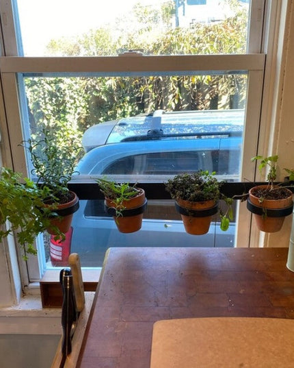 The Yonkers Horizontal Steel Planter by Industrial Farm Co holding four terracotta pots with herbs mounted on kitchen wind...