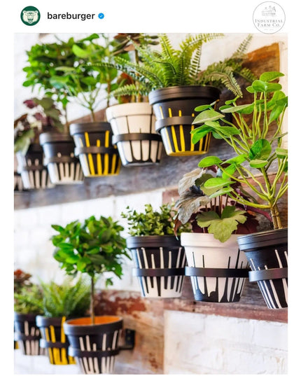 The Hudson Wall Mounted Potholder Plant Holder 4" Pot Finish Clear Coat | Industrial Farm Co