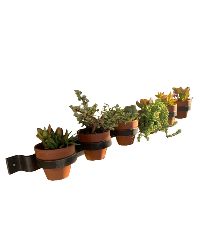 The Yonkers Horizontal Steel Planter