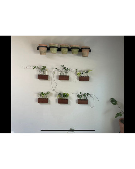 The Yonkers Horizontal Steel Planter by Industrial Farm Co mounted on white wall displaying small potted plants in dark wo...