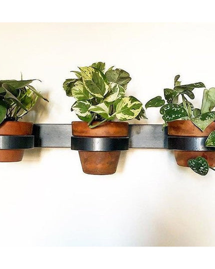 The Yonkers Horizontal Steel Planter by Industrial Farm Co with three terracotta pots holding green plants mounted on whit...