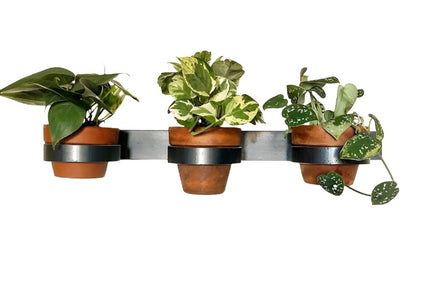 The Yonkers Horizontal Steel Planter