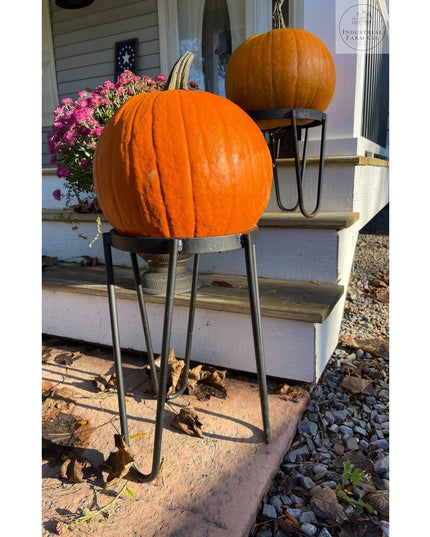 The Dorio Raised Planter Planter 6" Depth 8" Tall | Industrial Farm Co