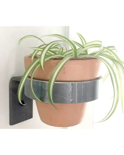 The Hudson Wall Mounted Potholder Plant Holder 4" Pot Finish Gold Powder Coat | Industrial Farm Co