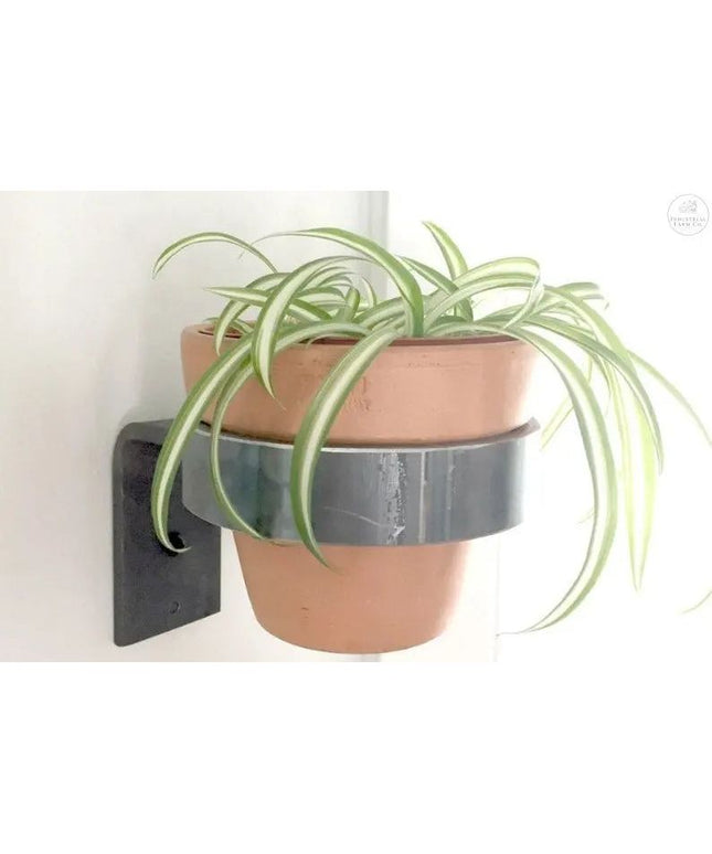 The Hudson Wall Mounted Potholder Plant Holder 4" Pot Finish Gold Powder Coat | Industrial Farm Co