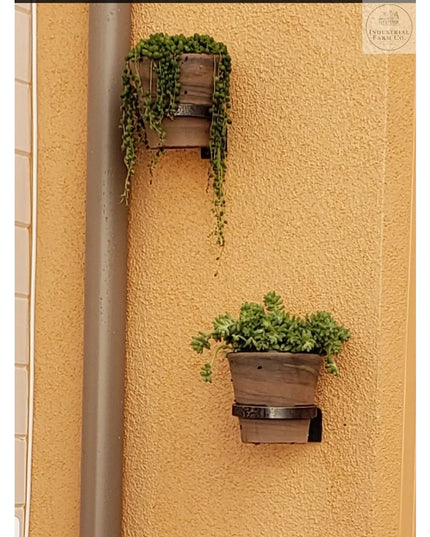 The Hudson Wall Mounted Potholder Plant Holder 6" Pot Finish Clear Coat | Industrial Farm Co