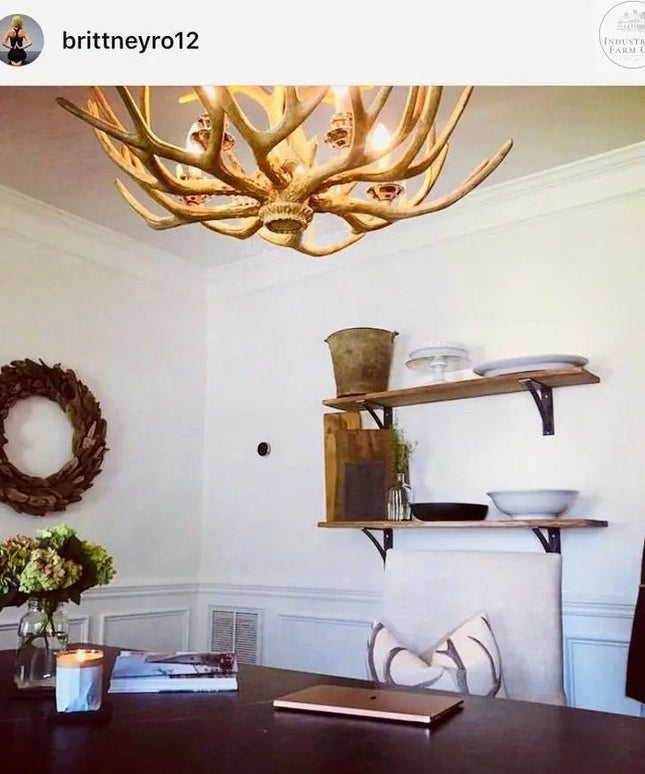 The Pops Bracket Supports Shelf Support 5" Depth x 5" Wall Mount Length Finish Raw - Uncoated Metal | Industrial Farm Co