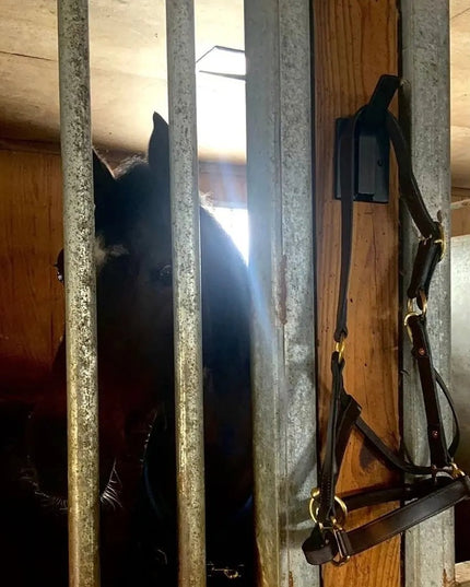 The Tator Wall Mounted Hook Hook Black Powder Coat   | Industrial Farm Co