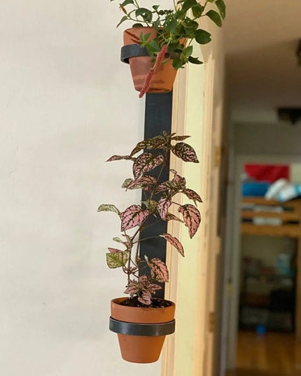 The Watertown Wall Mount Vertical Planter Plant Holder 20" Style 4" Pots | Industrial Farm Co